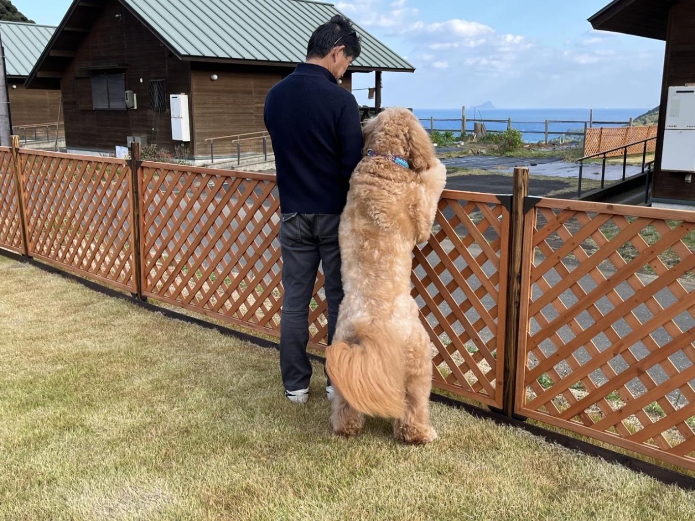 舞鶴ふるるファームコテージ Maizuru Buitenkant foto
