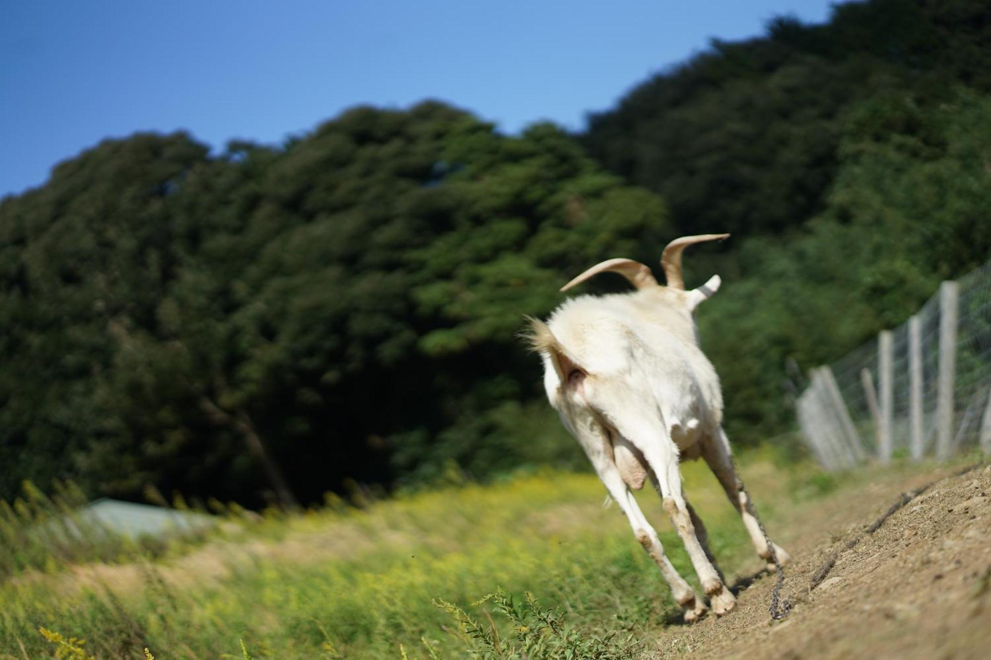 舞鶴ふるるファームコテージ Maizuru Buitenkant foto